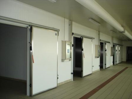 Двери Откатные Автоматические для скаладов и Холодильных Камер 